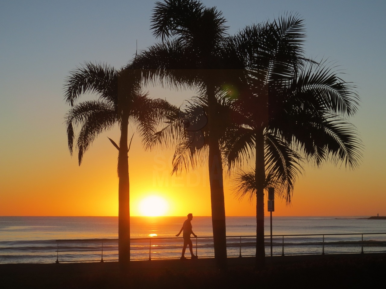 Benahavís: El Paraíso Gastronómico de la Costa del Sol. Estrategias de Marketing Digital para Atraer Inversores de Lujo.